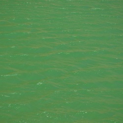 2015-07 Savoie/Orgère/DSC_0386.JPG